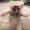 Chú chó hóa trang thành gấu. (Nguồn: YouTube)
