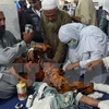 Chữa trị cho một nạn nhân bị thương trong trận động đất tại bệnh viện ở Peshawar, Pakistan. (Nguồn: AFP/TTXVN)