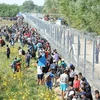 Hàng rào ngăn người nhập cư tại biên giới Hungary-Croatia. (Ảnh: EPA)