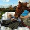 Ông Frank Keat nở nụ cười tươi khi trở về thăm chuồng ngựa. (Nguồn: Daily Mail)