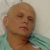 Cựu điệp viên KGB Alexander Litvinenko. (Nguồn: Getty)