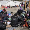 Người tị nạn tại biên giới Serbia-Macedonia. (Nguồn: Reuters)