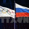 Cờ Olympic (trái) và cờ Nga (phải) tại lễ khai mạc Olympic mùa đông Sochi, Nga năm 2014. (Nguồn: AFP/TTXVN)