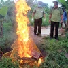 Lực lượng chức năng tiến hành tiêu hủy gà giống nhập lậu. (Ảnh: Nguyễn Hoàng/TTXVN) 