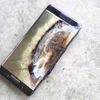 Galaxy Note 7 bị nhiều hãng hàng không e ngại vì lỗi pin điện thoại có thể gây cháy hoặc phát nổ. (Nguồn: Reddit)