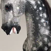 Các viên pha lê được đính lên con ngựa một cách tinh tế. (Nguồn: Daily Mail)