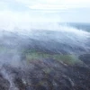 Hàng chục ha đất than bùn phát cháy. (Nguồn: thejakartapost.com)