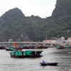 Tàu thuyền về khu bến cá tại chân cầu Bài Thơ, thành phố Hạ Long tránh trú bão. (Ảnh: Nguyễn Hoàng/TTXVN)