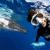 Nadia và nhóm thợ lặn trên đã chạm trán với một con cá voi lưng gù nặng tới 40 tấn. (Nguồn: Caters News Agency)