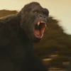 Phim quay tại Việt Nam "Kong: Skull Island" tung trailer chính thức