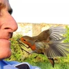 Ông Terry đặt con sâu trong miệng và sau đó một chú chim lao tới ăn. (Nguồn: Caters News Agency)