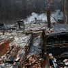 Hiện trường vụ cháy rừng ở Gatlinburg. (Nguồn: Getty)