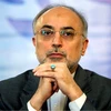Giám đốc Tổ chức Năng lượng Nguyên tử Iran Ali Akbar Salehi. (Nguồn: Tehrantimes)