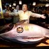 Ông Kimura bên con cá ngừ khổng lồ. (Nguồn: Reuters)