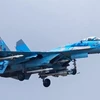 Máy bay chiến đấu SU-27 của Không quân Ukraine. (Ảnh: theaviationist.com) 