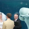 Cặp vợ chồng lâm vào tình huống dở khóc dở cười vì cá voi beluga