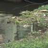 [Video] Hồ Tây ngập rác thải sau khi tiến hành tháo dỡ nhà thuyền