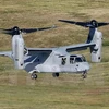 Máy bay MV-22 Osprey của quân đội Mỹ. (Nguồn: Kyodo/TTXVN) 