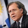 Tổng Thư ký Tổ chức các nước châu Mỹ (OAS) Luis Almagro. (Nguồn: Alchetron)