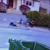 [Video] Rùng mình cảnh chó pit bull lao vào cắn bé trai ba tuổi
