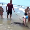 Người đàn ông bị bắt giữ vì dắt cá sấu dọc bãi biển để kiếm tiền
