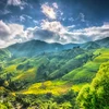 Sa Pa góp mặt trong danh sách 50 địa điểm đẹp nhất thế giới