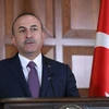 Ngoại trưởng Thổ Nhĩ Kỳ Mevlut Cavusoglu tại cuộc họp báo ở Ankara ngày 14/7. (Nguồn: AFP/TTXVN) 
