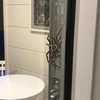 Cặp vợ chồng hoảng sợ khi thấy con nhện khổng lồ trước cửa nhà