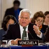 Đại sứ Venezuela tại Liên hợp quốc Jorge Valero. (Nguồn: Alchetron)