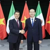 Chủ tịch nước Trần Đại Quang gặp song phương Tổng thống Mexico Enrique Peña Nieto. (Ảnh: TTXVN)