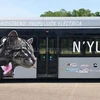 Mẫu xe buýt sử dụng nhiên liệu khí hydro. (Nguồn: Facebook)