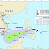 Chùm ảnh đường đi và vị trí cơn bão. (Nguồn: nchmf.gov.vn)