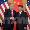 Tổng thống Mỹ Donald Trump (trái) và Chủ tịch Trung Quốc Tập Cận Bình tại Đại lễ đường Nhân dân ở Bắc Kinh. (Nguồn: AFP/TTXVN)