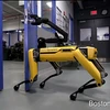 [Video] Robot gây kinh ngạc với khả năng tự mở cửa để chạy ra ngoài