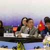 Đại diện Đoàn Việt Nam phát biểu tại cuộc họp. (Ảnh: TTXVN)
