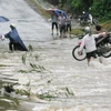 Năm 2015: Việt Nam sẽ bị ảnh hưởng trực tiếp bởi 4-5 cơn bão lớn