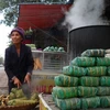 Làng bánh chưng Bờ Đậu: Nơi lưu giữ tinh hoa ẩm thực Việt 
