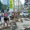Kế hoạch chặt 6.700 cây xanh: “Thanh tra Chính phủ vào cuộc mới rõ”