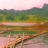 Tận diệt thủy sản không thương tiếc ở hồ thủy điện Tuyên Quang