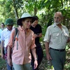 Bà Sally Jewell, Bộ trưởng Nội vụ Hoa Kỳ thăm Vườn Quốc gia Cúc Phương. (Ảnh: Hùng-Lâm/Vietnam+)