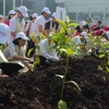 Gần 1.000 khách mời, người dân và các em học sinh tại các nước khu vực Châu Á tham gia trồng cây. (Ảnh: Hùng Võ/Vietnam+)