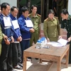 Triệt phá đường dây vận chuyển ma túy lớn từ Lào vào Nghệ An. (Ảnh: CTV H.B/Vietnam+)