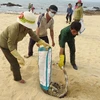 Cá chết ở ven biển tỉnh Quảng Bình. (Nguồn ảnh: TTXVN)