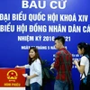 Sinh viên Trường Đại học Khoa học, Xã hội và Nhân văn tham gia bầu cử. (Ảnh: Minh Chiến/Vietnam+)