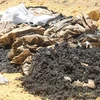 Chất thải của Formosa được chôn lấp tại Hà Tĩnh. (Nguồn: TTXVN)