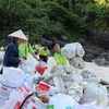 Tình nguyện viên thu gom rác, phao xốp tại một số hòn đảo thuộc Vịnh Hạ Long. (Ảnh: Hùng Võ/Vietnam+) 