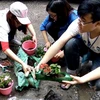 Các bạn trẻ tham gia chương trình "Tô xanh góc nhỏ Thủ đô." (Ảnh: Nguyễn Hà Nam/Vietnam+)
