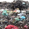 Bãi tập kết rác thải tại thôn Đại Lâm, xã Tam Đa, huyện Yên Phong, tỉnh Bắc Ninh. (Ảnh: Hùng Võ/Vietnam+)