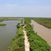 Hệ sinh thái đất ngập nước tại Vườn quốc gia Xuân Thủy, tỉnh Nam Định. (Ảnh: Hùng Võ/Vietnam+)
