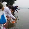 Người dân Hà Nội lại nô nức mang cá chép ra các khu vực sông, hồ để “hóa rồng” tiễn Táo quân về trời. (Ảnh: Hùng Võ/Vietnam+)